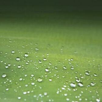 Fondos De Pantalla Y Live Wallpaper Del Galaxy S3 Androides M S