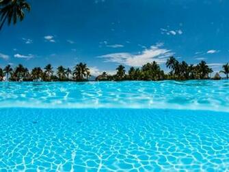 Underwater Tahiti High Quality And Resolution Wallpaper