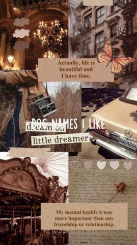 Dog Names I Like In Aesthetic Pastel Wallpaper iPhone
