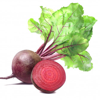 Purple Giant Beetroot Seeds Wallpaper
