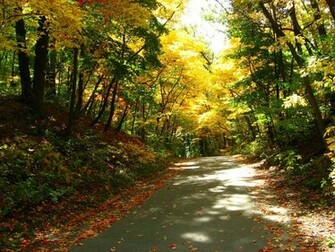 Thread Michigan Fall Colors Desktop Wallpaper