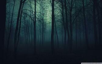 Dark Forest 4k HD Desktop Wallpaper For Ultra Tv Tablet