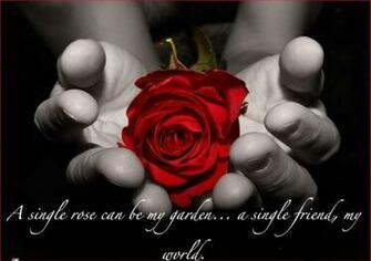 Love You My Friends Wallpaper