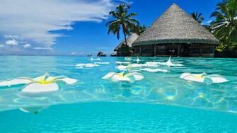 HD Exotic Paradise Wallpaper Mela