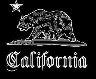 Cali Bear Photo Sharing