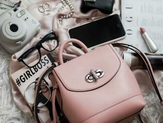 Handbag Pictures Image