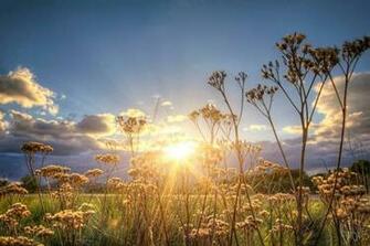Solar Reach Photo By Bob Larson Pixdaus