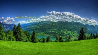 Demotivational Wallpaper