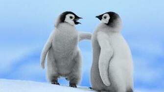Snow Animals Wallpaper