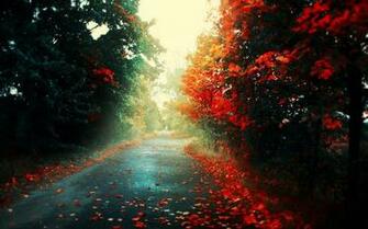 Awesome Wallpaper HD Desktop Collections
