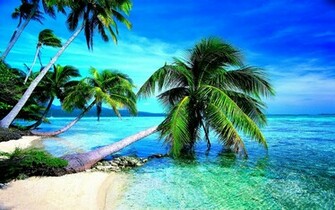 Tropical Beach HD Wallpaper Image
