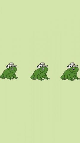 Frog Aesthetic Wallpaper Cute Simple