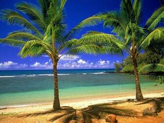 Tropical Beach Wallpaper