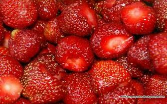 Strawberries Wallpaper