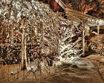 Winter Wonderland1 Gogo High Resolution Normal