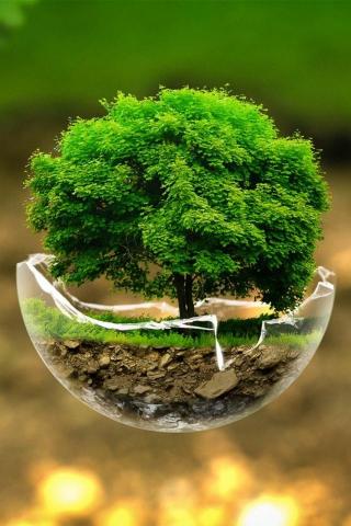 Green Nature Tree Mobile Wallpaper Mobiles Wall