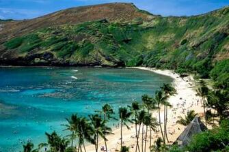 Hanauma Bay Oahu Sea Beach Seasons Wallpaper Water World