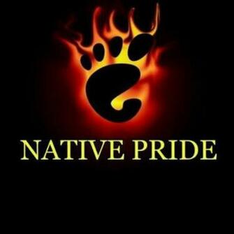 Native Pride Cool Artwork