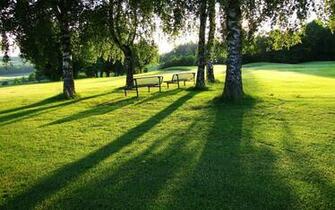 Outdoors HD Wallpaper