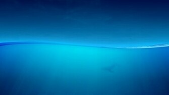 Ocean Wallpaper Weddingdressin