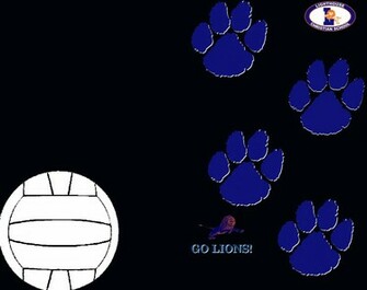Holford Volleyball Background