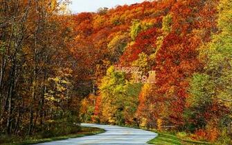Desktop Wallpaper Fall Foliage In HD