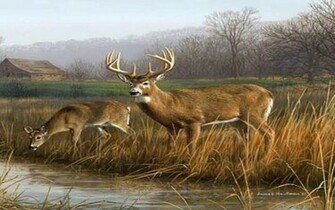 Deers
