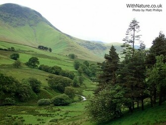 Landscape Countryside Desktop Background Wallpaper