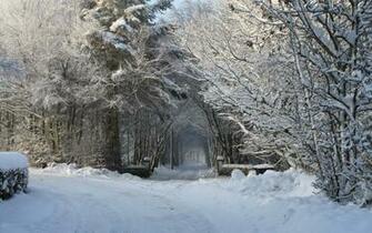 The Winter Wonderland Desktop Background