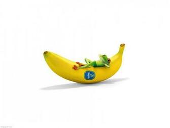 Chiquita With Frog Funny Fun Wallpaper Cute