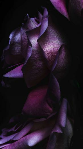 Ios S New Wallpaper Here Are The High Res Able Vers