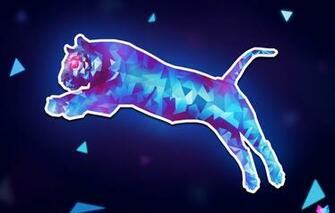 Wallpaper Cat Line Jump Triangles Angle Geometry Tiger