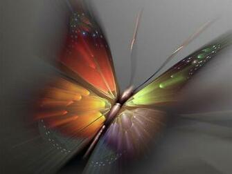 Anime Manga Wallpaper Cartoon Butterfly