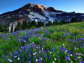 Mount Rainier Wallpaper HD Desktopinhq