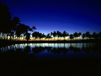 Palm Silhouette Big Island Hawaii Wallpaper HD