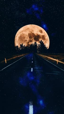 Msr Pickles On Venjamin Landscape Wallpaper Galaxy