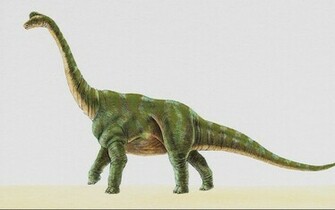 Dinosaur Wallpaper
