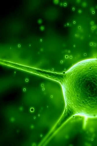 HD Wallpaper For iPhone 4s Green