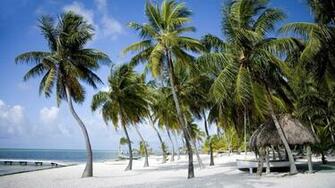 Florida Keys Vacation Packages Wallpaper HD Weddings