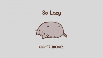 Cat Meme Picture Wallpaper