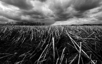 Best Wallpaper Collection Black And White