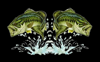 Bass Png