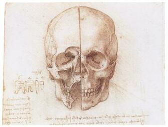 Leonardo Da Vinci