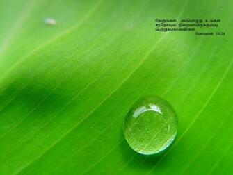 Spot Daily Bible Verses Wallpaper Html