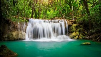 Rainforest Waterfall Wallpaper For Pc Of