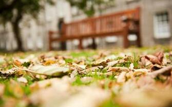 Autumn In Trinity College HD Wallpaper Widescreen