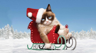 Grumpy Cat Wallpaper