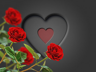 Heart With Red Roses 4k Ultra Fond D Cran HD Wallpaper