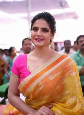 Zarine Khan Beautiful Image In Saree Actresses