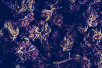 Marijuana Cannabis Weed And Pot 4k HD Wallpaper